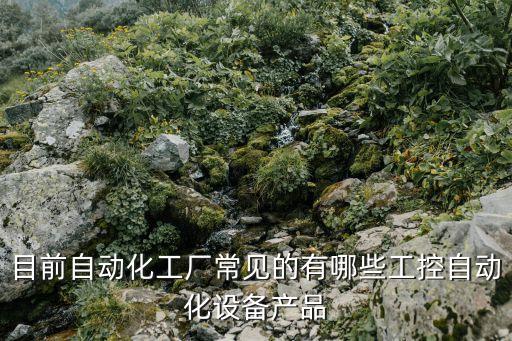 目前自動(dòng)化工廠常見的有哪些工控自動(dòng)化設(shè)備產(chǎn)品
