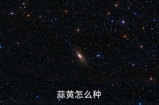 蒜黃自動化種植設(shè)備廠家,蒜黃種植新技術(shù)、新設(shè)備
