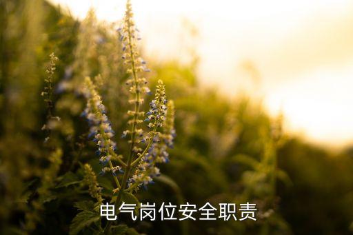 錫林熱電廠電氣自動化運行檢修崗
