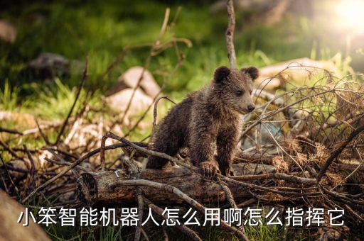 小通機器人如何使用說明書,小米掃地機器人怎么用?