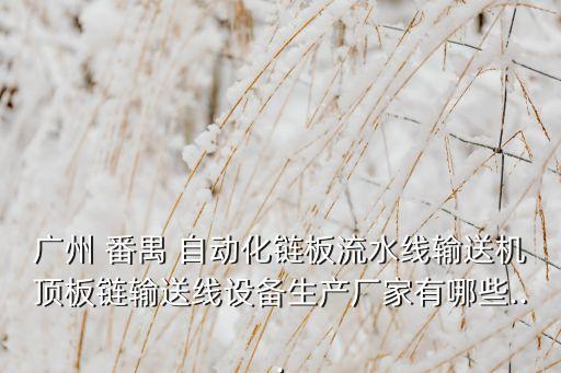 廣州 番禺 自動化鏈板流水線輸送機頂板鏈輸送線設(shè)備生產(chǎn)廠家有哪些...