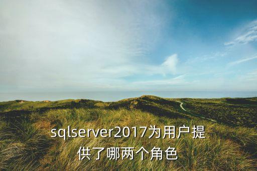 sqlserver2017為用戶提供了哪兩個角色