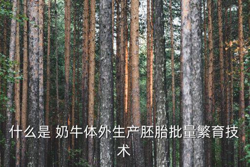 自動(dòng)化養(yǎng)殖奶牛設(shè)備,鵪鶉全自動(dòng)化養(yǎng)殖設(shè)備 原創(chuàng)視頻