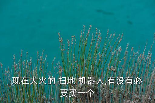 現(xiàn)在大火的 掃地 機器人,有沒有必要買一個