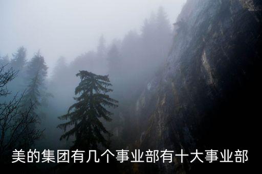 自動化行業(yè)的電商公司名字,系統(tǒng)統(tǒng)統(tǒng)電商公司推薦哪些公司?