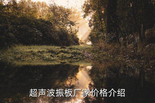 超聲波振板廠家價格介紹