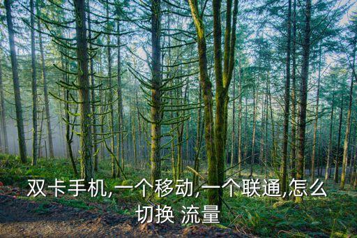 國內(nèi)可轉(zhuǎn)換數(shù)據(jù)流量是,怎么轉(zhuǎn)換卡1卡2的數(shù)據(jù)流量