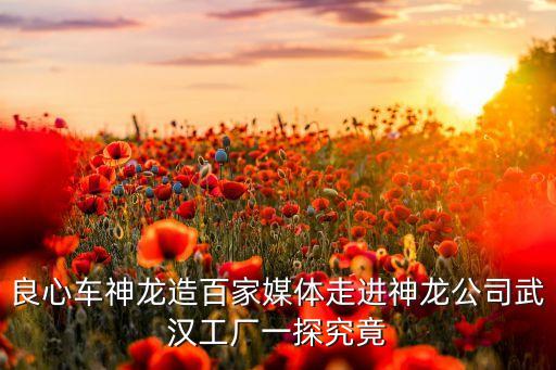 中頻焊接自動化設(shè)備廠,中頻點焊機有什么特點?