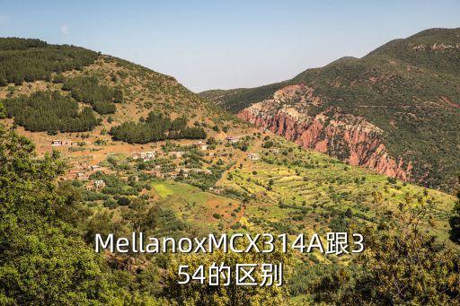 MellanoxMCX314A跟354的區(qū)別