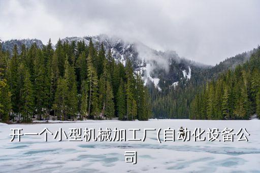 開一個小型機械加工廠(自動化設(shè)備公司