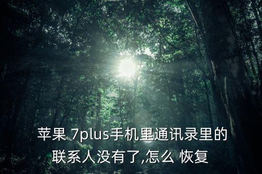  蘋果 7plus手機(jī)里通訊錄里的聯(lián)系人沒有了,怎么 恢復(fù)