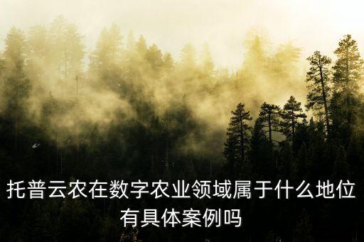 托普云農(nóng)在數(shù)字農(nóng)業(yè)領(lǐng)域?qū)儆谑裁吹匚挥芯唧w案例嗎