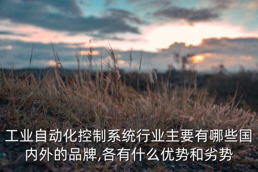 工業(yè)自動化控制系統(tǒng)行業(yè)主要有哪些國內(nèi)外的品牌,各有什么優(yōu)勢和劣勢