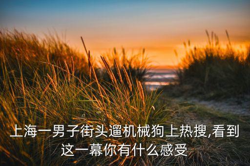 四足仿生機器人e dog,四足仿生機器人什么意思?
