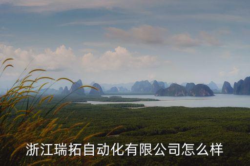 浙江瑞拓自動化有限公司怎么樣
