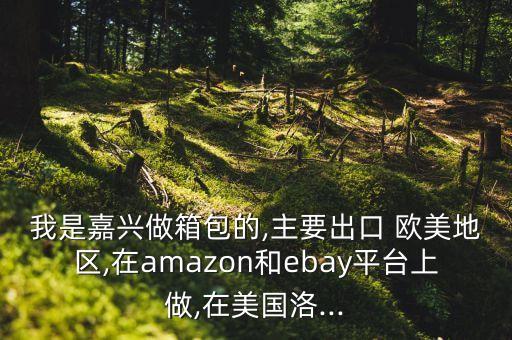 我是嘉興做箱包的,主要出口 歐美地區(qū),在amazon和ebay平臺上做,在美國洛...