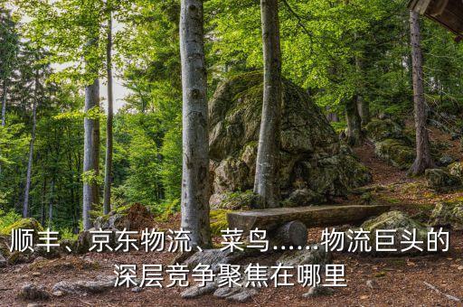 順豐、京東物流、菜鳥……物流巨頭的深層競爭聚焦在哪里