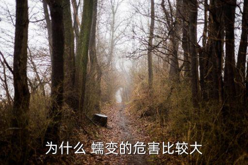 為什么 蠕變的危害比較大
