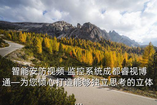  智能安防視頻 監(jiān)控系統(tǒng)成都睿視博通—為您傾心打造能夠獨立思考的立體...
