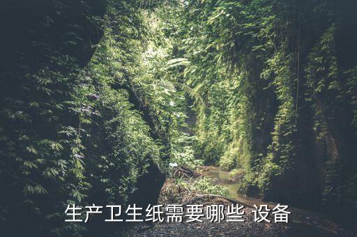 生產(chǎn)衛(wèi)生紙需要哪些 設(shè)備