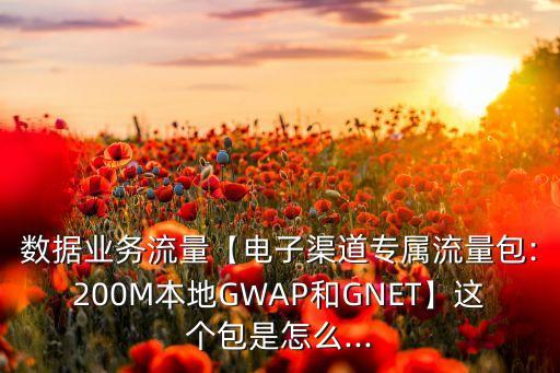 數(shù)據(jù)業(yè)務流量【電子渠道專屬流量包:200M本地GWAP和GNET】這個包是怎么...