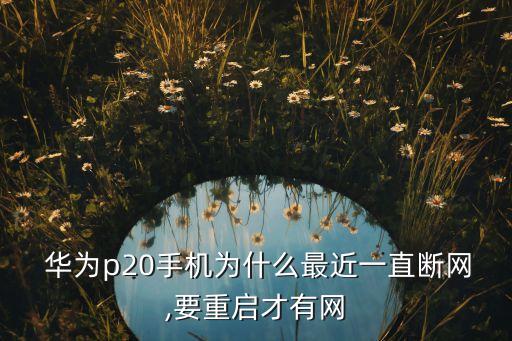  華為p20手機(jī)為什么最近一直斷網(wǎng),要重啟才有網(wǎng)