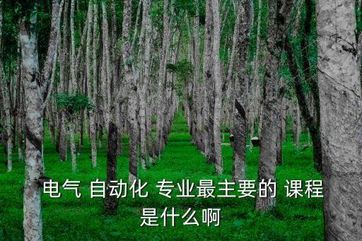  電氣 自動(dòng)化 專(zhuān)業(yè)最主要的 課程是什么啊