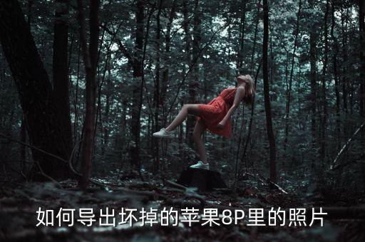 iphone拆機導出數據多少錢,怎么倒數據?
