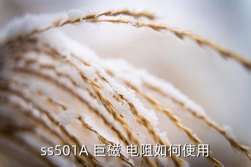 ss501A 巨磁 電阻如何使用