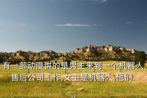 有一部動漫講的是男主來到一個機器人售后公司工作,女主是機器人,他們...