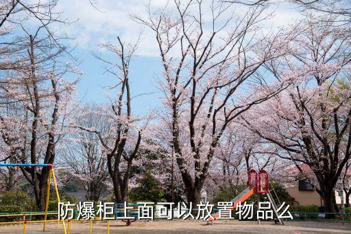 防爆柜上面可以放置物品么