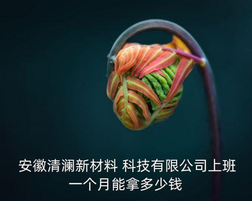  安徽清瀾新材料 科技有限公司上班一個月能拿多少錢