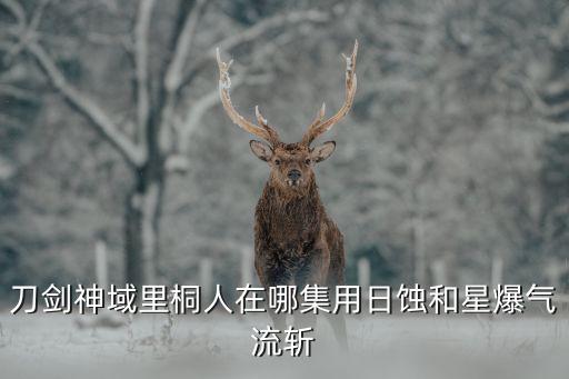 asuna機器人,刀劍神域主角名字來自哪里?