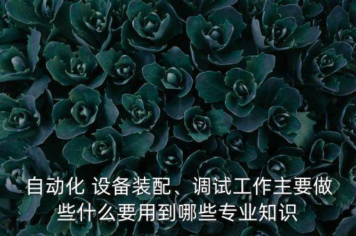  自動(dòng)化 設(shè)備裝配、調(diào)試工作主要做些什么要用到哪些專業(yè)知識(shí)