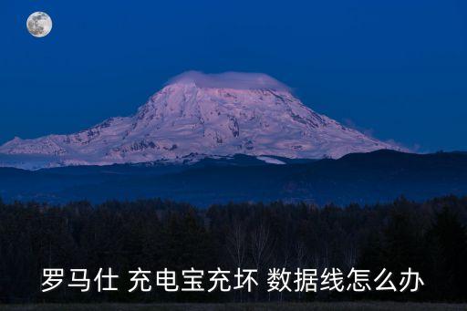 羅馬仕 充電寶充壞 數(shù)據(jù)線怎么辦
