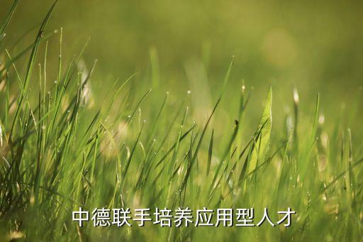 中德自動(dòng)化專(zhuān)業(yè)課,青島科技大學(xué)中德自動(dòng)化