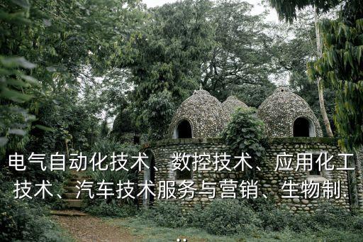 電氣自動化技術(shù)、數(shù)控技術(shù)、應(yīng)用化工技術(shù)、汽車技術(shù)服務(wù)與營銷、生物制...