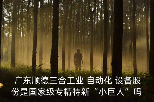  廣東順德三合工業(yè) 自動化 設(shè)備股份是國家級專精特新“小巨人”嗎