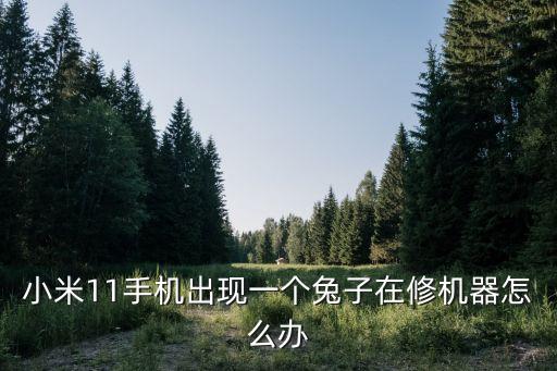 小米11手機出現(xiàn)一個兔子在修機器怎么辦