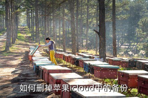 如何刪掉蘋果icloud中的備份
