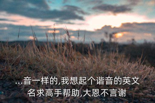 ...音一樣的,我想起個諧音的英文名求高手幫助,大恩不言謝