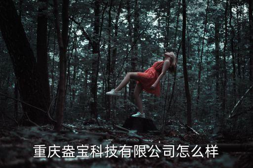 重慶盎寶科技有限公司怎么樣