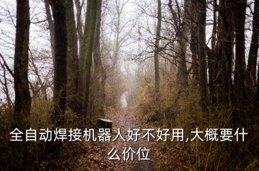 全自動(dòng)焊接機(jī)器人好不好用,大概要什么價(jià)位