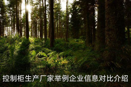 控制柜生產(chǎn)廠家舉例企業(yè)信息對(duì)比介紹