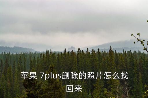 蘋果7plus恢復(fù)數(shù)據(jù)