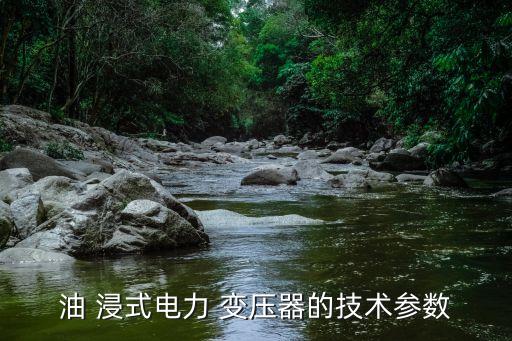油 浸式電力 變壓器的技術(shù)參數(shù)