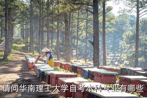 請(qǐng)問華南理工大學(xué)自考本科專業(yè)有哪些