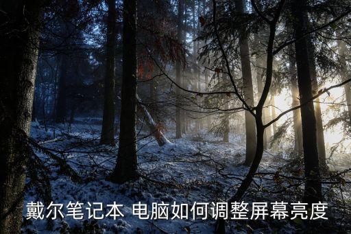 戴爾機(jī)器人電腦,機(jī)器人工程專業(yè)用什么電腦
