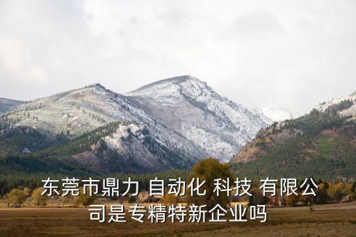 東莞科技自動(dòng)化有限公司,東莞國(guó)銳自動(dòng)化設(shè)備科技有限公司