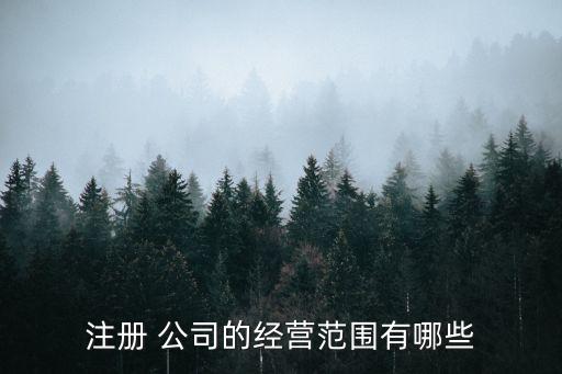 注冊(cè) 公司的經(jīng)營(yíng)范圍有哪些